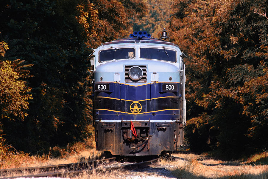 Locomotive No.800 in Autumn Color Photograph by Richard Gregurich
