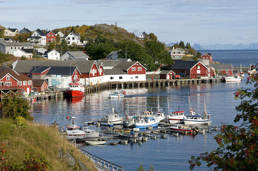 Lofoten Islands, Sørvågen Harbor Photograph by Olivier Anger