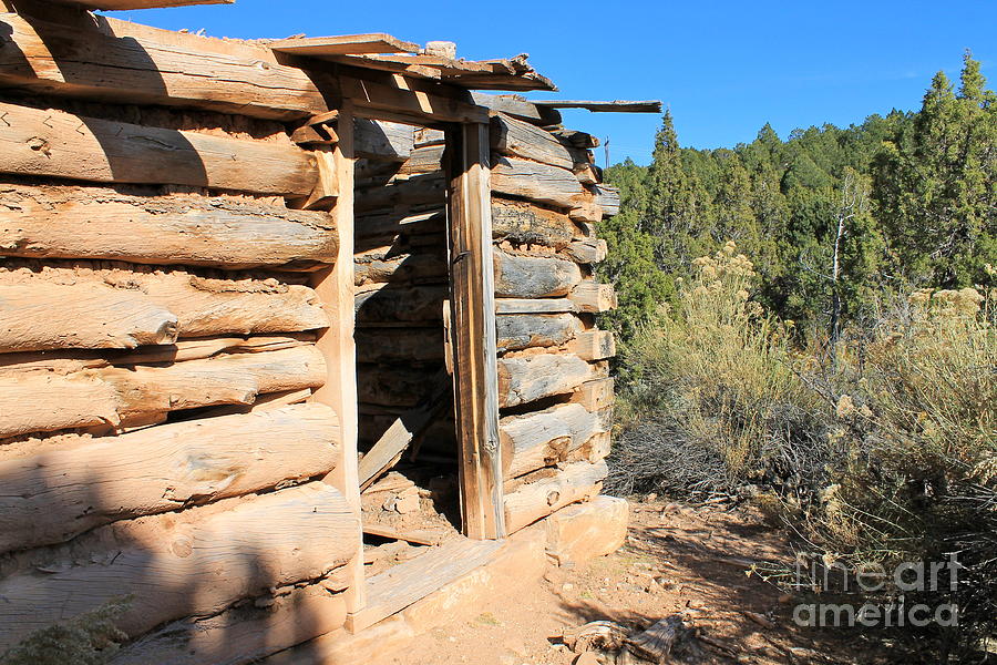 Log Cabin 111 Photograph by Pamela Walrath