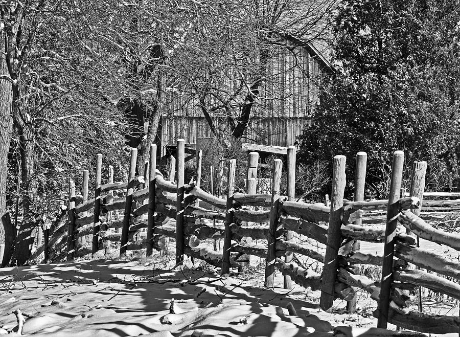 Log Fence Photograph by Rodney Campbell