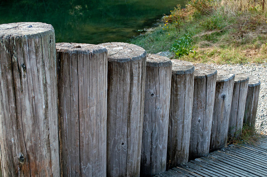 Log Handrail Photograph by Tikvahs Hope