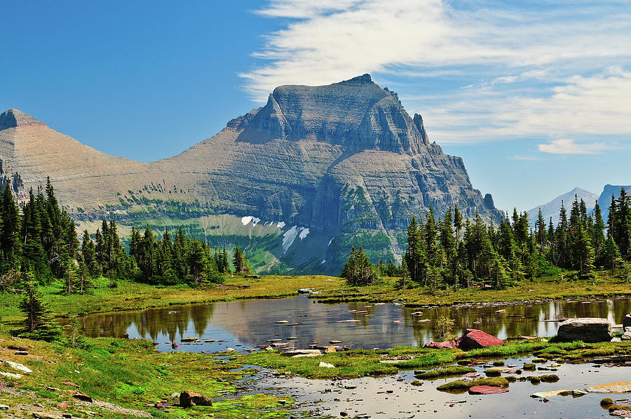 Glacier National Park Photograph - Logan Pass by Greg Norrell