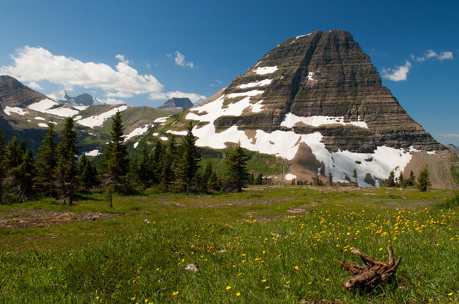Logan Pass in Glacier National Park Photograph by Bruce Gourley