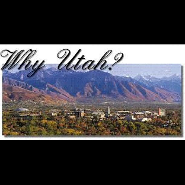 Utah Photograph - Lol My Question Everytime Utah Pops Up by Sam Schwartz