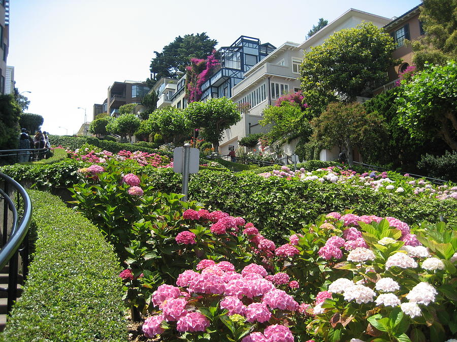 Lombard Street Photograph by Dany Lison