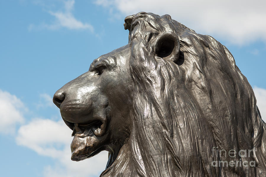 London Lion Photograph by Andrew  Michael