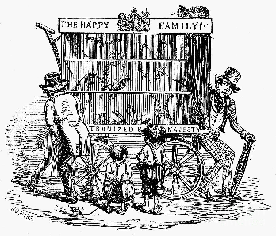 LONDON: MENAGERIE, c1850 Photograph by Granger LONDON: MENAGERIE, c1850 Photograph by Granger