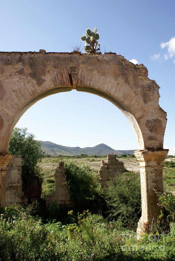 LONE ARCHWAY Mineral de Pozos Mexico Photograph by John  Mitchell