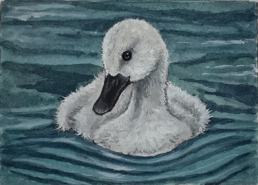 Lone Baby Swan On An Overcast Day Painting