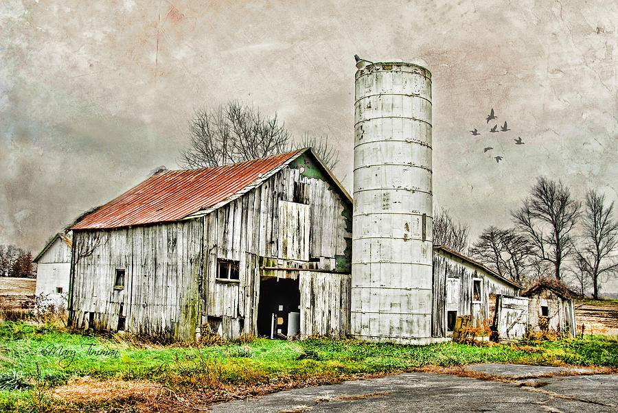 Lone Barn Photograph by Mary Timman