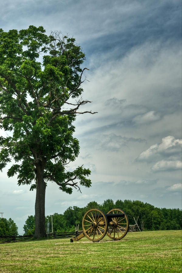 Tree Photograph - Lone Cannon 3 by Douglas Barnett