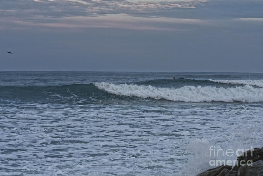 Lone Evening Surfer Photograph by Deborah Benoit