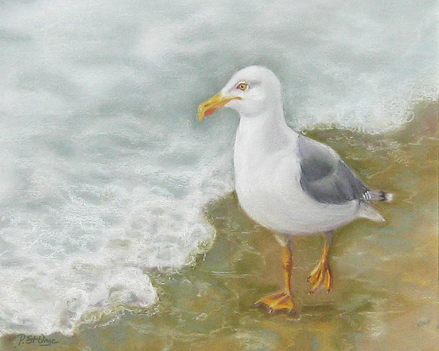 Lone Gull Painting by Pat St Onge
