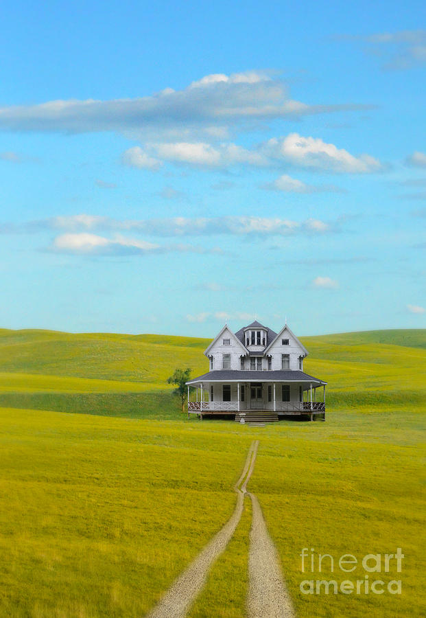 Lone House in a Green Field Photograph by Jill Battaglia - Fine Art America