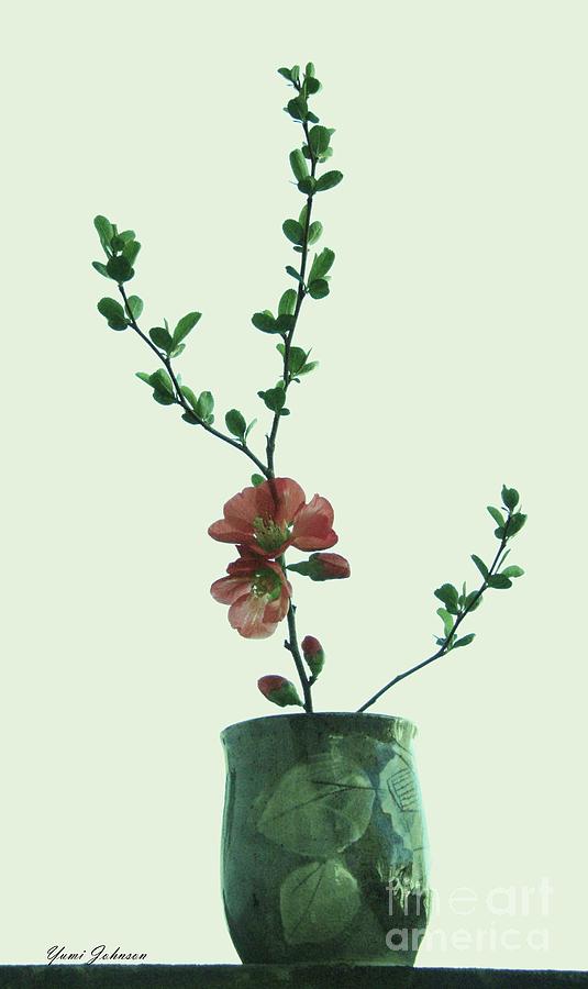 Lone Japanese quince in cup Photograph by Yumi Johnson