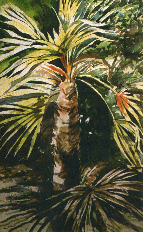 Jungle Painting - Lone Palm by Janet Brice Parker