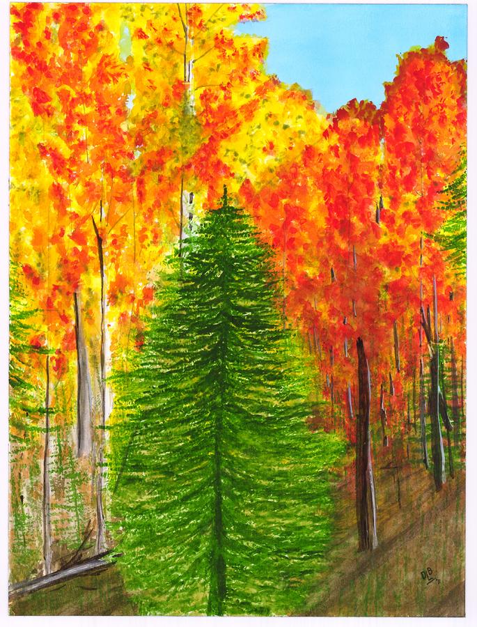 Lone Pine Painting by David Bartsch