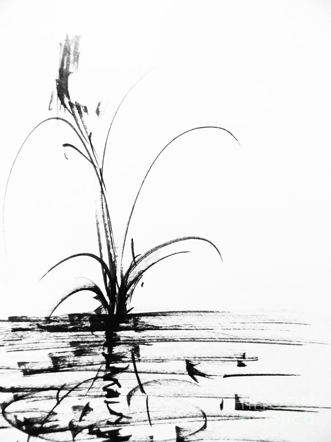 Lone Reed - Maine thoughts 4 Painting by Trilby Cole