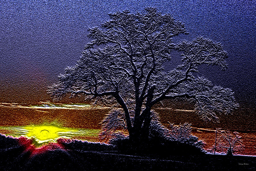 Lone Tree at Sunrise Art Photograph by George Bostian