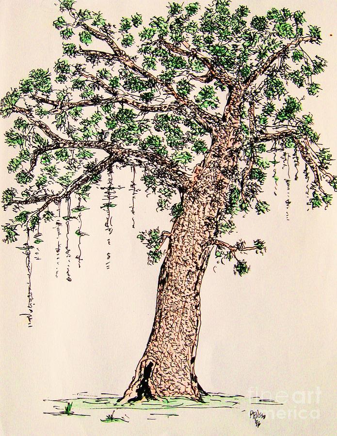 Lone Tree Drawing by Thea Recuerdo