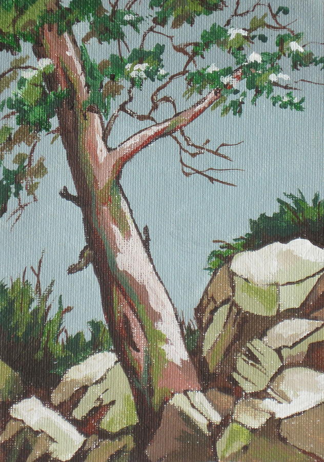 Lone Tree Painting by Sandy Tracey