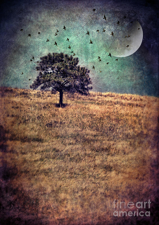 Lone Tree with Moon and Birds Photograph by Jill Battaglia