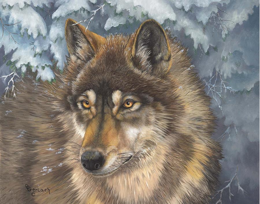 Lone Wolf Painting by Charlotte Gerlach - Fine Art America