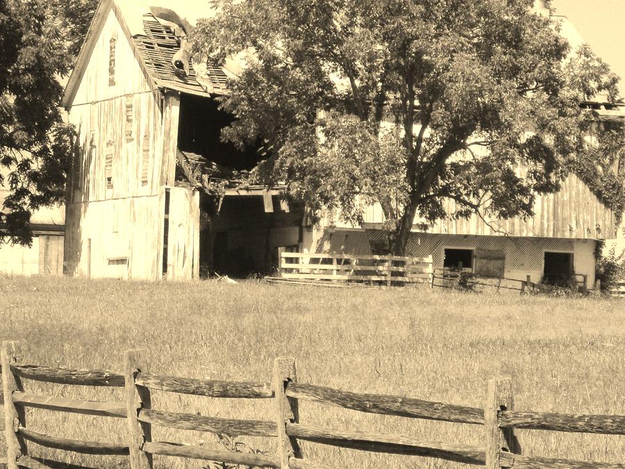 Lonely Barn Photograph by Trish Pitts