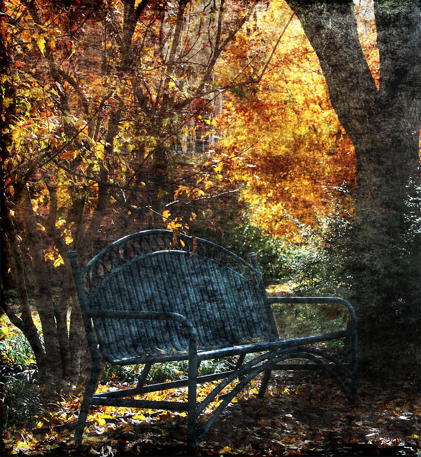 Lonely Bench Photograph by Rebecca Lynn Roby