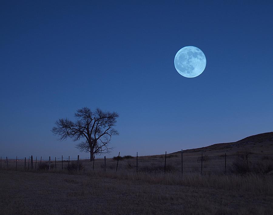 Lonely Moonset Photograph by HW Kateley