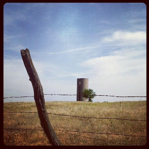Cool Photograph - Lonely Old Grain Bin And Tree by Stephen Cooper