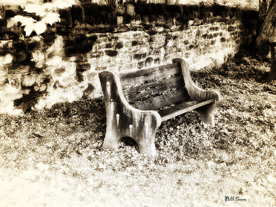 Park Bench Photograph - Lonely Park Bench by Bill Cannon