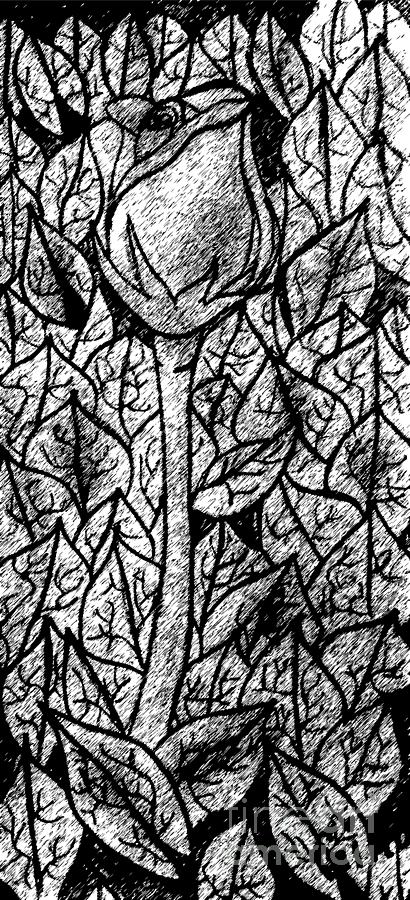 Whispers of Blooms - Rosebud Amongst Fallen Leaves Drawing by Djurdjina Jovanovic