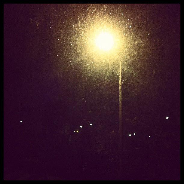 Insomnia Photograph - Lonely Streetlight, View From Window On by Dmitriy Fetisov