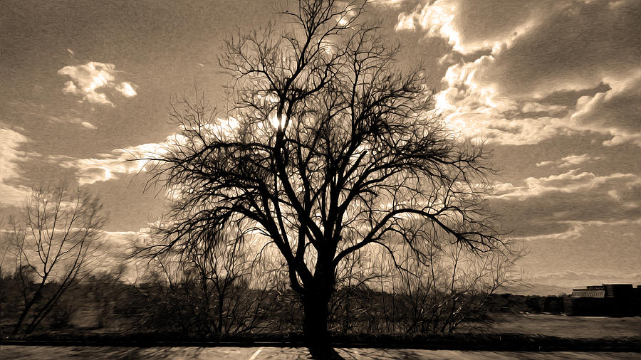 Lonely Tree at Sunset Digital Art by Sergio Aguayo