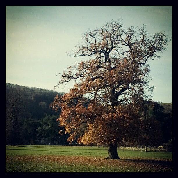 Winter Photograph - Lonely Tree.... #trees #ilam by Kay K
