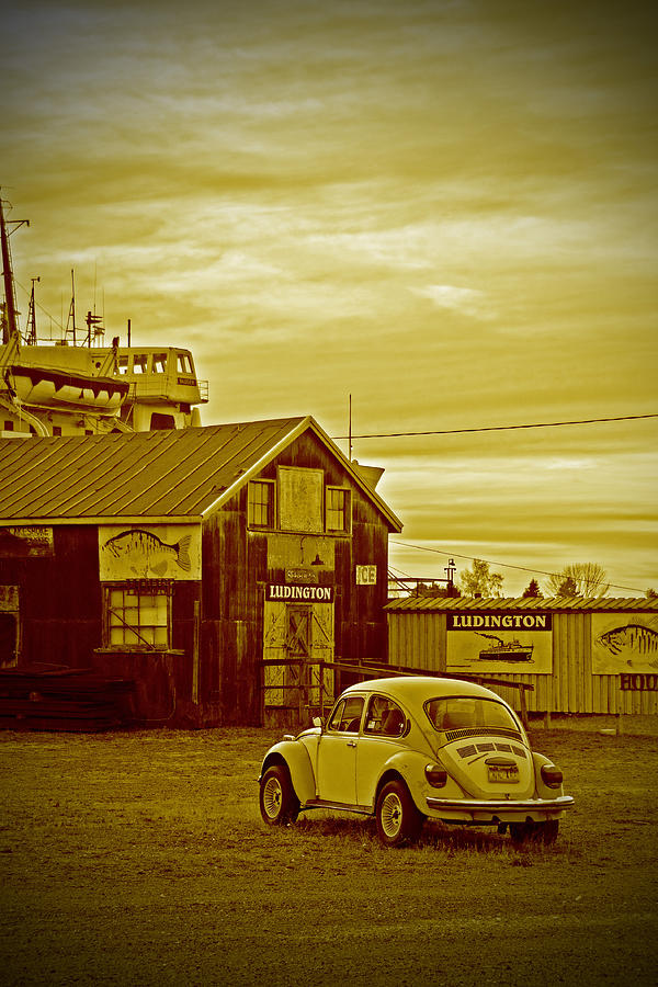 Lonely VW Photograph by Randall Cogle