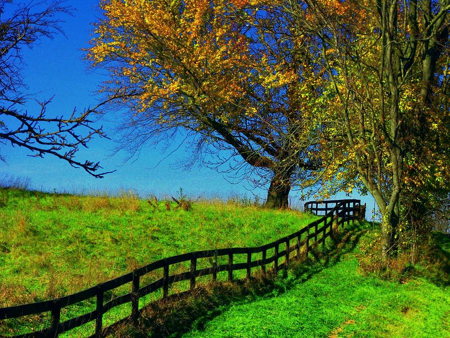 Long Autumn Fence Photograph by Joyce Kimble Smith