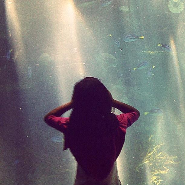 Fish Photograph - Long Beach Aquarium by Mikal Britt
