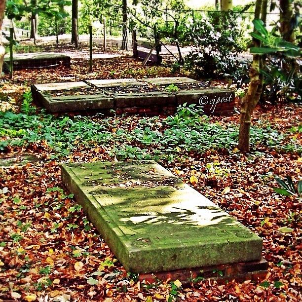 Groningen Photograph - Long Forgotten Graves In #winsum by Cynthia Post