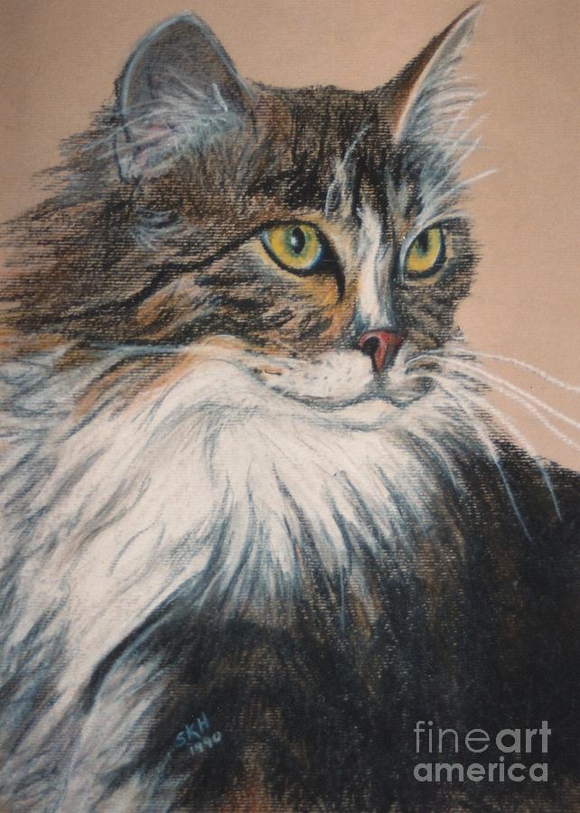 Cat Pastel - Long Hair Cat by Susan Herber