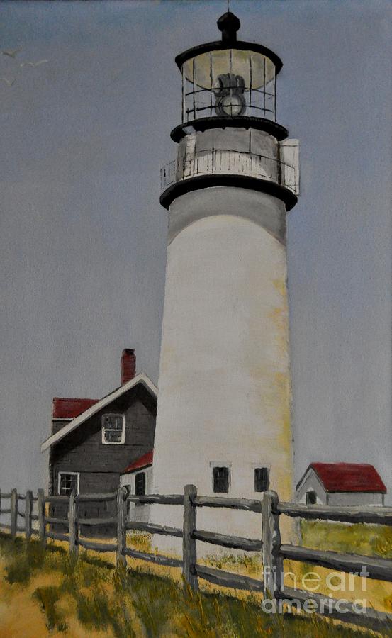 Long Island Head Lighthouse Photograph by John Black