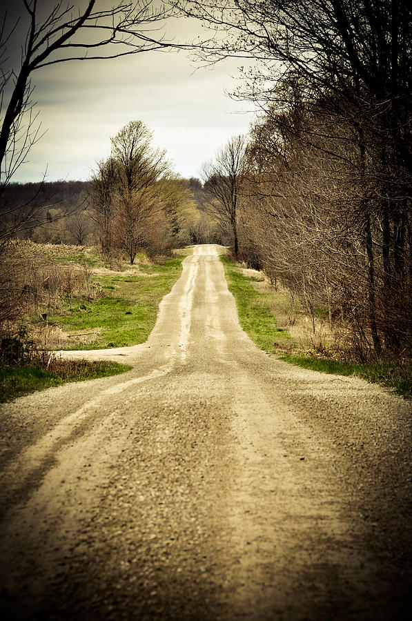 Tree Photograph - Long Road by BandC  Photography