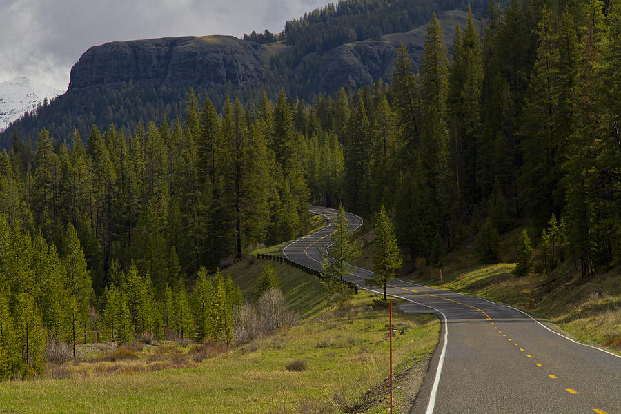 Yellowstone National Park Photograph - Long Road Home by Jack R Perry