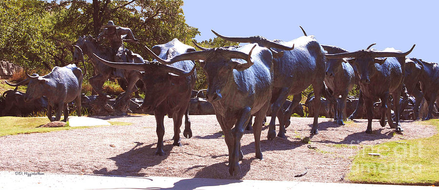 Horse Photograph - Longhorn Cattle Drive in Bronze by DiDi Higginbotham