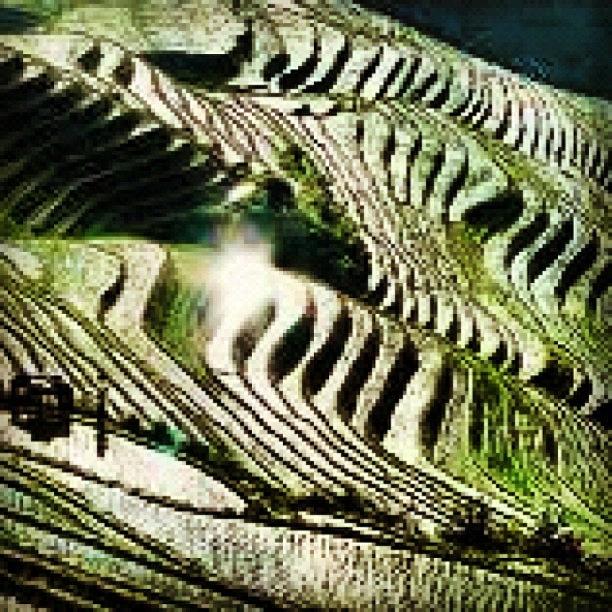 Landscape Photograph - Longi Rice Terraces #guilin #longi by Josh Allsop