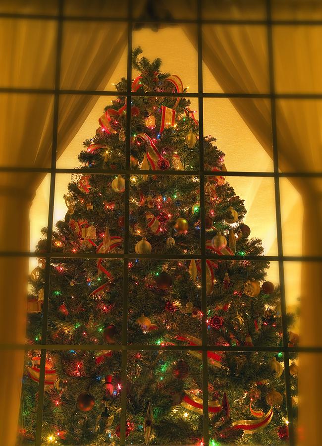 Christmas Photograph - Looking At Indoor Christmas Tree by Carson Ganci