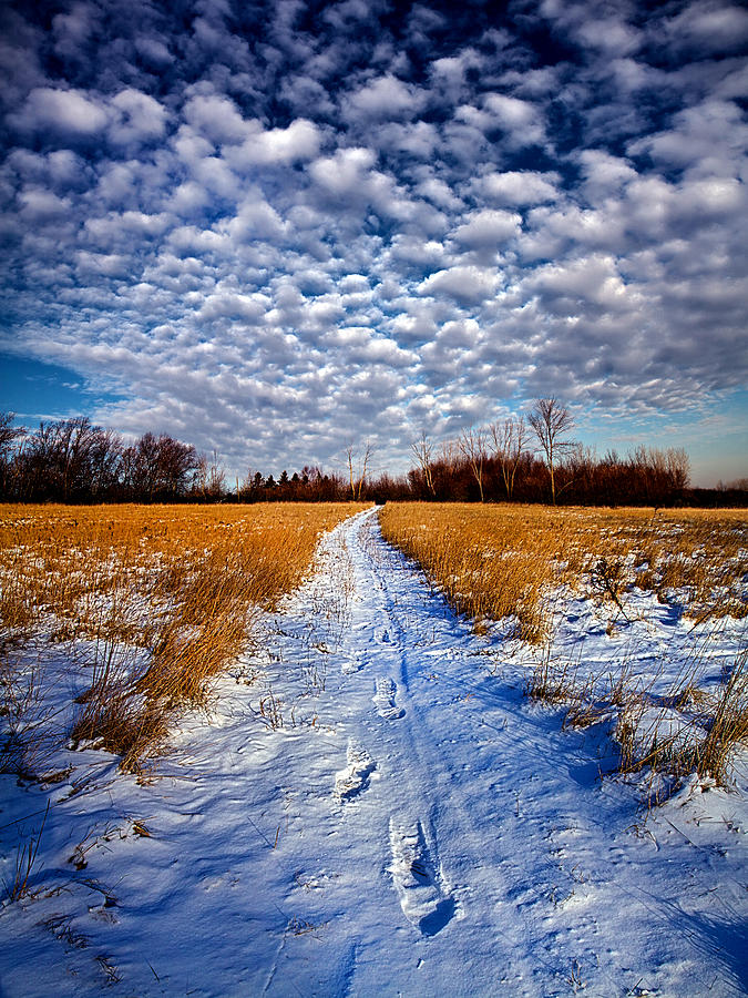 Looking Back Photograph by Phil Koch