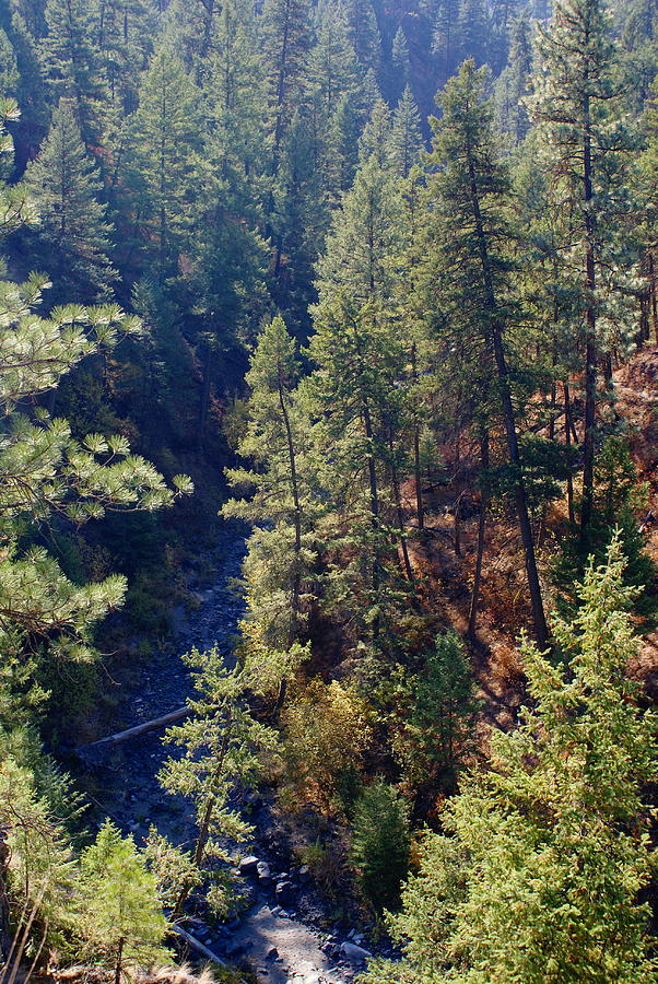 Looking Down into the Deep Creek Canyon near Spokane Photograph by Ben Upham III