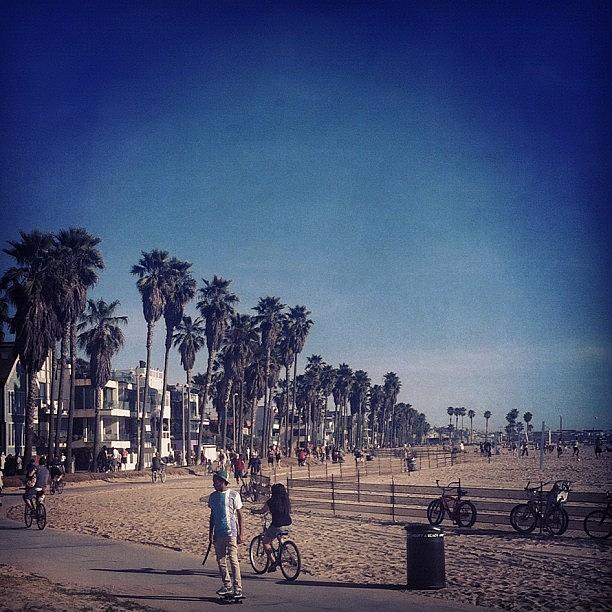 Tree Photograph - Looking Down Venice Beach. #iphone by Loghan Call